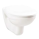 Wand- /Stand-WCs Tiefspüler/Flachspüler weiß Unterputz/Aufputz Spülsysteme Ausführung Wand-WC Tiefspüler weiß