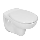 LAVITA Wand-WC Arctic | Hänge Toilette | Toilettendeckel mit Absenkautomatik & Metallscharniere | Toiletten Spülrandlos Hängend | Toilettenbecken | 350x535x535 mm | Weißer Glanz