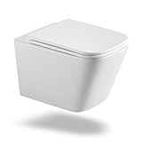 Hänge WC Spülrandlos mit WC Sitz mit Absenkautomatik aus Keramik - Toilette mit Einloch-Superspin-Spülung - Wand WC Toiletten für Gäste wc - Kloschüssel mit Nano Beschichtung