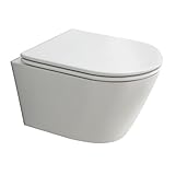 Alpenberger Spülrandloses Wand WC Set | Moderne Toilette mit Nano und WC Sitz mit Absenkautomatik | Toilettendeckel D Form | Hänge WC aus Keramik | Klo Passend Geberit