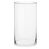 TREND FOR HOME Bodenvase Groß 29 cm Glasvase Zylinder Vase für Osterstrauch Klarglas Pampasgras Transparent Rund Modern Glaszylinder | 4900 ml | Ø 15.8 cm | Magnolia