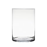 Dekoglas, Glasvase Zylinder H. 25cm D. 18cm transparent rund Glas Hakbijl