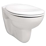 Wand- /Stand-WCs Tiefspüler/Flachspüler weiß Unterputz/Aufputz Spülsysteme Ausführung Wand-WC Flachspüler weiß
