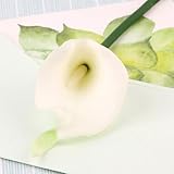 HCDZF Weiß, 10 Stück künstliche Calla Lilie, Plastikblumen Calla PU Latex real Touch,für Hochzeits Party Wohnzimmer Büro Hotel Küche DIY-Blumengestecke