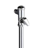 GROHE DAL-Voll-Automatic-Spüler für WC (mit automatischer Spülstromregulierung, 3/4'), chrom, 37141000