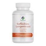 Geflecktes lungenkraut 500 mg 60 Kapseln Gesunde Lunge