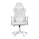 Ranqer Felix Gaming Stuhl - Professioneller Gaming-Sessel - Ergonomischer Gaming Stuhl - 2D-Armlehnen - 180° verstellbare Rückenlehne mit Kissen - Stabiles Nylon Gestell - Weiß