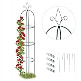 Gartenpergola Rankobelisk Rankhilfe für Kletterpflanzen und Rosen 190 cm, Pyramide aus Metall, fur Tomaten, Wein (Obelisk)