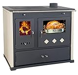 Kaminofen mit Backfach und Herdplatte Practik Lux Holzofen 9,5 kW Kamin Ofen Dauerbrandofen Werkstattofen Schwedenofen Hüttenofen Heizofen