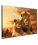 MuchoWow© Leinwandbild Groß 120x80 cm XXL Dekoration Wohnzimmer Bilder Aufhängen Wall Decoration Living Room Wohnungs Deko Moderne Löwen - Sonnenuntergang - Afrika - Savanne - Tiere