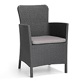 Jardin Allibert Dining Sessel Miami anthrazit - Rattanoptik, wetterfest, Garten