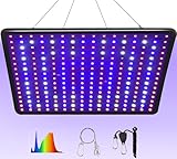 DragonLight 2024 Neueste EW1000 LED Grow Lampe Vollspektrum mit UV IR Pflanzenlampe LED mit 3 Meter Kabel für Zimmerpflanzen und Gewächshaus Gemüse und Blumenanbau für Growzelt 60x60cm