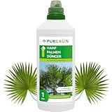 Purgrün® Hanfpalmen-Dünger | Schnell wirksame mineralische Rezeptur | Premium-Flüssigdünger mit Spurennährstoffen | NPK 10+4+6 | Fördert kräftiges Wachstum & sattgrüne Blätter | 1 Liter