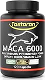 Tostoron MACA 6000 hochdosiert - hol dir jetzt den TOSTORON HAMMER direkt nach Hause! 120 Kapseln plus TRIBULUS, Pinienrinden Extrakt 100:1 als TURBO-LADER®, Vitamin C, Selen, Zink, 1 Dose (1x100g)