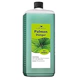 Konfitee Palmen Dünger Flora Boost 1000ml I Für bis zu 200L Gießwasser I Pflanzenstärkungsmittel für alle Palmen Arten I Flüssiger Blatt- & Wurzeldünger I 100% natürlicher Pflanzendünger