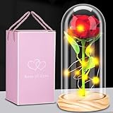 Geschenke für Fraue- Ewige Rose im Glas, Muttertags Rosen Muttertagsgeschenke für Mama, Schöne und das Biest Rose mit LED Licht, Sparkly Galaxy Roses in Glaskuppel, Infinity Rosen Geschenk für Damen