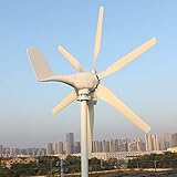 800W Windturbine 12V Windkraftanlage geräuscharm Windgenerator mit MPPT Regler für Heimgebrauch Straßenlampen Boot Windmühle