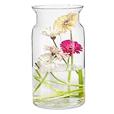 TREND FOR HOME Große Glasvase Hoch 29.5 cm Blumenvase Gross Bodenvase Glas Große Vase Amaryllis Vase Tulpen Runde Glasvase Zylinder Durchsichtig Große Vasen für Boden | Ø 16 cm | Sunflower