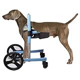 UIHECTA Hunderollstuhl FüR Die Vorderbeine, Verstellbare MobilitäTshilfen FüR Hunde, RollstüHle FüR Behinderte Hunde Zum Gehen, Rehabilitationswagen FüR Haustiere,Blau,XL