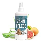 Petsly® Dentalspray für Hunde & Katzen entfernt Zahnbelag natürlich & sorgt für einen frischen Atem - 250 ml - Dental Spray für Hunde Zahnpflege mit 3-fach Wirkung, Zahnsteinentferner Hund Zahnpflege