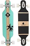 RollerCoaster Longboards Drop-Through The ONE Edition: Feathers, Palms, Stripes (Palms: Mint)
