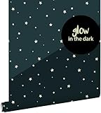 ESTAhome Glow-in-the-dark Tapete fluoreszierenden Sterne Dunkelblau - 139262-0,53 x 10,05 m