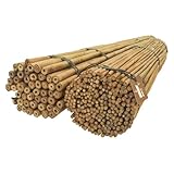 DIXIE STORE Bambusstäbe - Bambusstangen Set Blumenstützen - Robuste Pflanzenstäben aus Bambus 150 cm x 12-14 mm 25 Stück Holzstäbchen Rund - Bambus Pflanze Bambus Stöcke Pflanzen Stütze