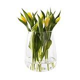 Giessle® [ Große ] Glasvase, Vase für z.B. Trockenblumen & Tulpen, Tischvase, Tulpenvase, Pampasgras, Rosen, Blumenvase rund bauchig