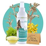 MEDIDOG Dental Fresh & Clean Dentalspray – XL Packung mit 250 ml – Zahnpflege für Hunde – Zahnsteinvorbeugung – frischer Atem