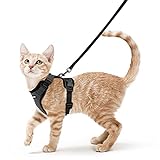 rabbitgoo Katzengeschirr mit Leine Schwarz Softgeschirr für Katze Brustgeschirr Cat Harness Katzengarnitur ausbruchsicher verstellbar Katzenweste Schwarz XS