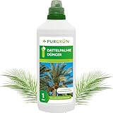 Purgrün® Dattelpalme-Dünger | Schnell wirksame mineralische Rezeptur | Premium-Flüssigdünger mit Spurennährstoffen | NPK 10+4+6 | Stärkt die Widerstandskraft | 1 Liter