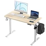 KOWO Elektrischer Höhenverstellbarer Schreibtisch mit 1,2m Tischplatte, Einstellbarer Büroschreibtisch mit Getränkehalter und Kopfhörerhalter - Holz