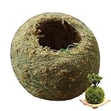 Mooskugel-Bonsai – Moos-Pflanztopf, natürlicher Kugel-Pflanztopf | Selbstbewässernde Moos-Pflanzgefäße, atmungsaktive hängende Mooskugel-Pflanzgefäße, kleine Luftpflanzen, lebende Zimmerpflanzen für A
