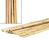 15er Set Bambusrohre Tonkin 240cm lang gelblich naturbelassen mit dünnem Durchmesser von 2-2,2 cm