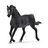 schleich 13981 Araber Hengst, ab 5 Jahren, HORSE CLUB - Spielfigur, 5 x 15 x 10 cm