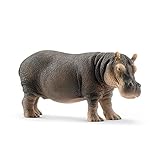 schleich WILD LIFE 14814 Realistische Nilpferd Figur - Wilde Nilpferd Tierfigur zum Fantasievollen Spielen - Pädagogisches Tiere Spielzeug - Tiere Figuren Sets ab 3 Jahren