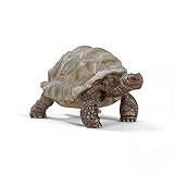 schleich WILD LIFE 14824 Realistische, Exotische Galapagosschildkröte - Tiere Riesenschildkröte - Wilde Tiere Figuren Sets für Phantasievolles Spiel für Kinder Alter 3+, TU