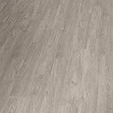 HORI® Klick Vinylboden PVC Bodenbelag I Wasserfest I viele Dekore wählbar | Elegance Grau | 1 Paket à 2,24 m² I für 19,10 €/m²