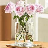 Glasvase Rund - Tulpen Vase,Große Glas Vase für Moderne Home Decor,Transparent Glasvasevase Passend Dazu Pampasgras und Tulpen,für Wohnzimmer Schlafzimmer Esszimmer Hochzeit Office,Deko Glas Vasen