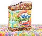 chimoo Wasserperlen 50000 Stücke Wasserperlen für Pflanzen Ungiftig Wiederverwendbare Water Beads Für Pflanzen Kügelchen Für Pflanzen, Vase Füllstoff und Deko