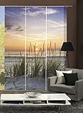 Home fashion Digitaldruck Schiebevorhang 3er Set, Stoff, Natur, 245 x 60 x 245 cm, 3-Einheiten,(3er Pack)