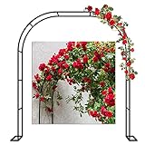 LYAH 120CM 140CM 180CM Metall Rosenbogen Gartenbogen 200CM 240CM 280CM 350CM Torbogen Pergola Rankhilfe Rankgitter Für Kletterpflanzen, Hochzeit Dekorationen Bogen, Freistehend (Size : 200x230x40CM)