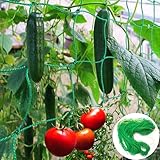 Rankhilfe Gurken Ranknetz für Gurken - Rankhilfe Garten Tomaten, Sehr Passend Netz für Kletterpflanzen Gewächshaus Zubehör, Pflanzennetz 180x270 für Garten Gewächshaus