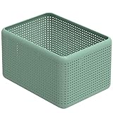 Rotho Madei Aufbewahrungskiste 13l, Kunststoff (PP recycelt) BPA-frei, grün, 13l (32.6 x 23.8 x 18.8 cm)