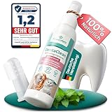 Power Pets - Dentalspray LEBERWURST + GRATIS Fingerzahnbürste 80ml [ Hunde & Katzen ] -100% natürliche Maulhygiene - Schluss mit Zahnbelag | Zahnsteinentferner, Zahnreinigungsspray