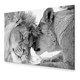 murando - Wandbilder XXL Löwe 120x80 cm 1 tlg Wand Deko Leinwand Bilder Groß Wanddeko Wohnzimmer Schlafzimmer Kunstdrucke - Löwen Liebe Afrika Tier g-B-0034-b-b