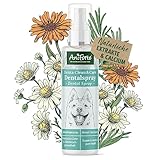 AniForte Denta Clean & Care Dentalspray für Hunde – 100% natürliche Extrakte & Calcium, entfernt Zahnbelag, Mundgeruch Spray für frischen Atem, beugt Plaque, Zahnstein vor, Zahnpflege Spray