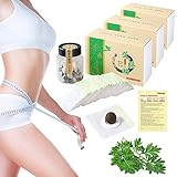 DAZZTIME Natural Herbal Belly Sticker,90 Stück Mugwort Navel Sticker,Mugwort Navel Sticker,Beifuß Nabel Aufkleber,Detox Pflaster,Beifuß Nabel Aufkleber