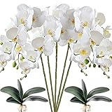 Hinyo Co 5 Stück Orchideenblüten, 8 Köpfe, künstliche Phalaenopsis, mit 2 Blättern, Orchideenblüten, Schmetterling, für die Dekoration des Hauses (weiß)