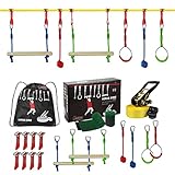 ALPIDEX Ninja Line Kinder Slackline Hindernisse Set Turnringe Seilknoten Schaukel Kletterleiter Zubehör Erweiterbar Warrior Parcours 7 Jahre Garantie auf Material*, Stil:Basic